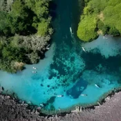 Blue Heart Springs
