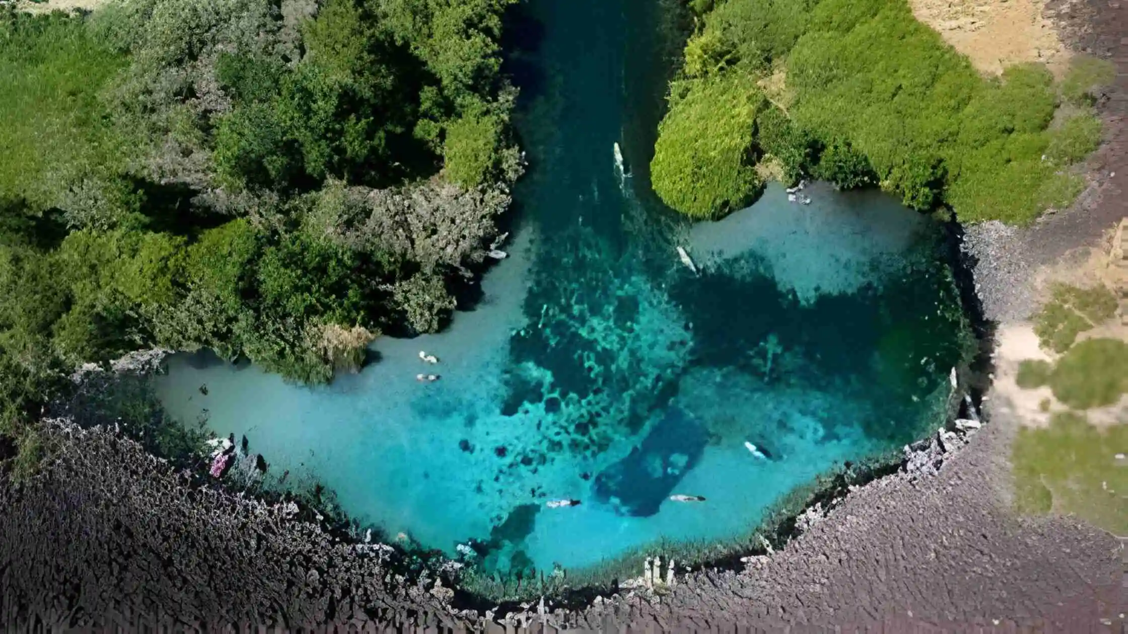 Blue Heart Springs
