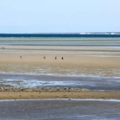 Skaket Beach